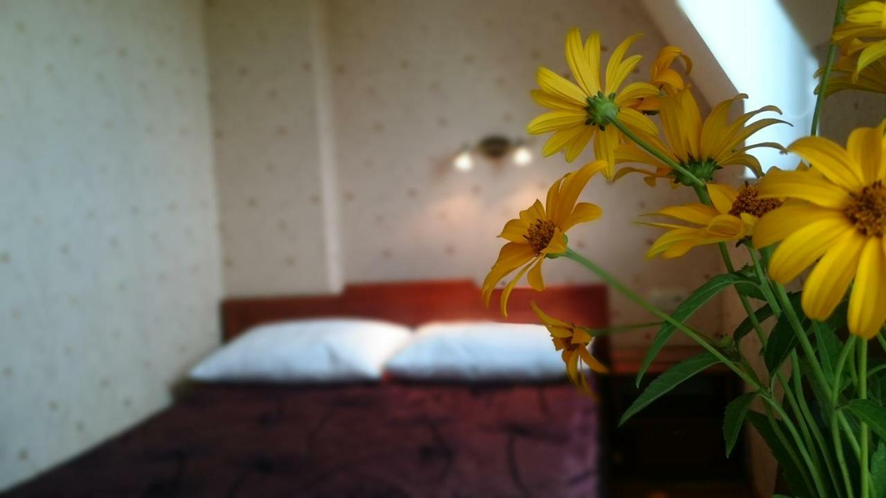 Villa Gracja Łeba Esterno foto